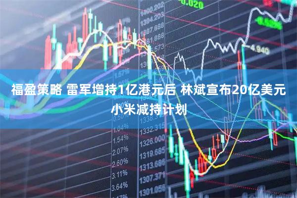 福盈策略 雷军增持1亿港元后 林斌宣布20亿美元小米减持计划