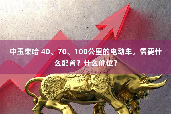 中玉束哈 40、70、100公里的电动车，需要什么配置？什么价位？